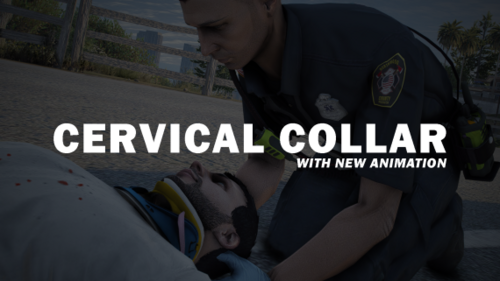 More information about "Cervical Collar / Head Support Script"