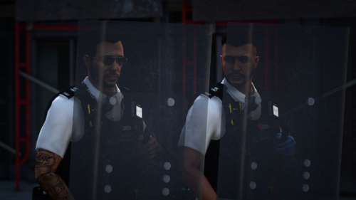 More information about "Public Order Shield"