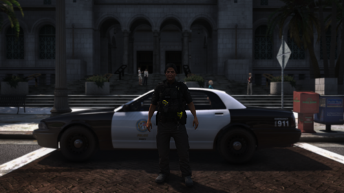 More information about "Patel "Old Cop" Singh"