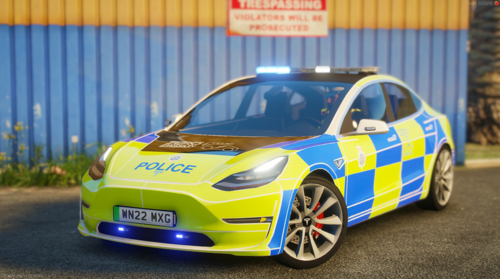 More information about "BTP Marked Tesla 3"