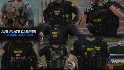More information about "Crye AVS Plate Carrier"