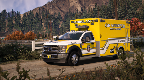 More information about "GSD Modifications - 2020 F-Series Ambulance"