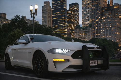 More information about "Ferious Development - 2019 Ford Mustang GT LEO Version"
