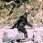 Big Foot
