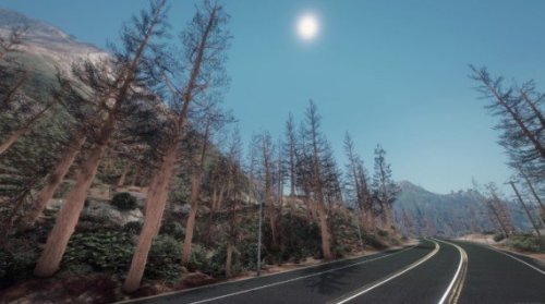 More information about "Haunted Vegetation"