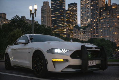 More information about "2019 Ford Mustang GT LEO Version"
