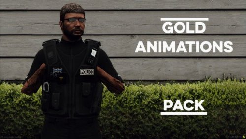 More information about "Gold Animation Pack"