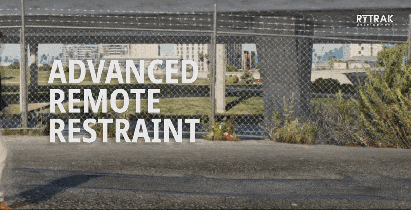 More information about "Advanced Remote Restraint"